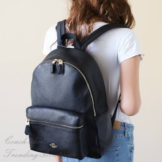 Coach F29004 Charlie Leather Backpack Luxury Bags Wallets on Carousell