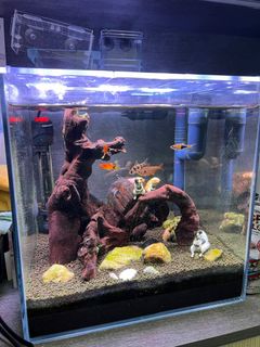 （分類：）位於 。 由 rambomimi2004 提交（商品編號 1332722732，圖片 1）。簡介： 。