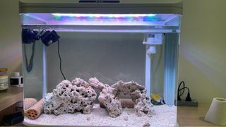 (Category: ) located in . Submitted by kkrsh3 (Listing ID 1332728217, Image 1). Description: .