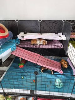 (Category: ) located in . Submitted by lyn124 (Listing ID 1332723811, Image 1). Description: .