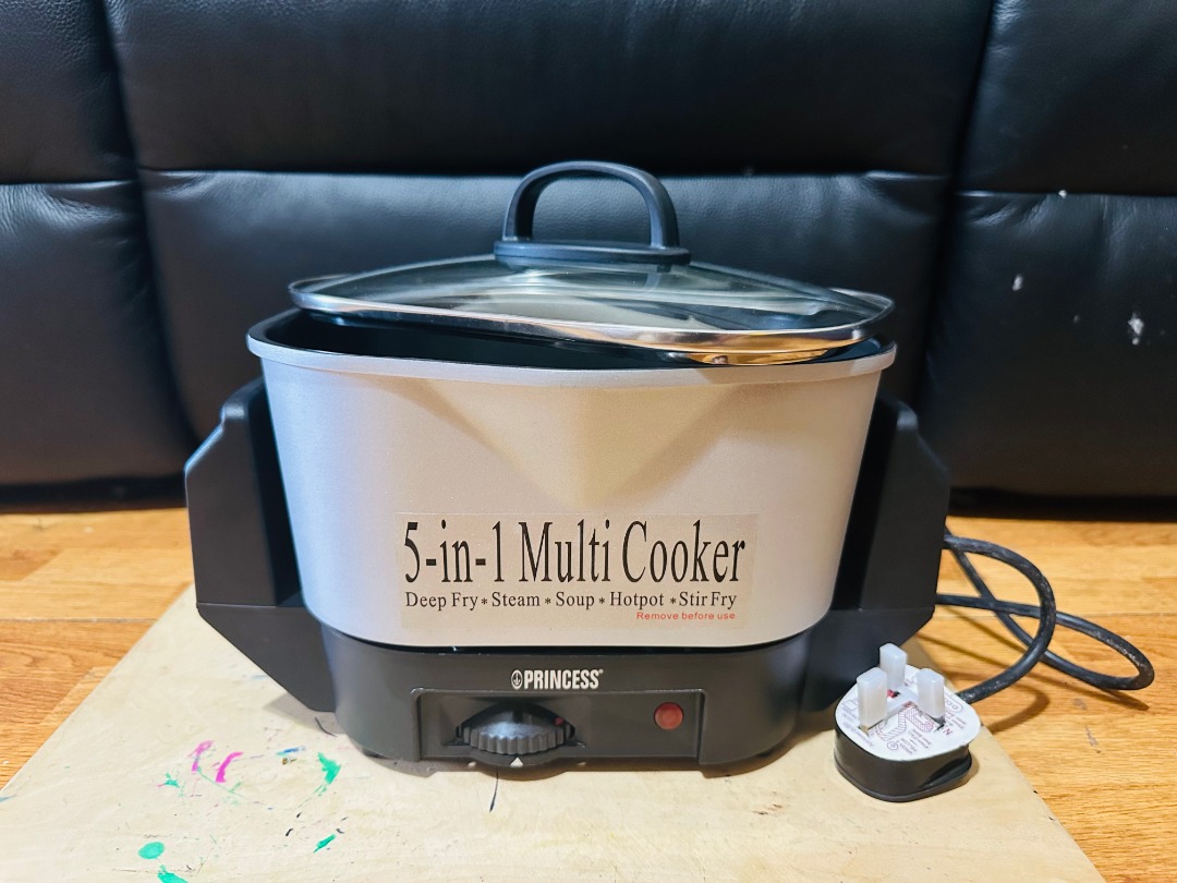Princess 5 in 1 Multi Cooker 5 1