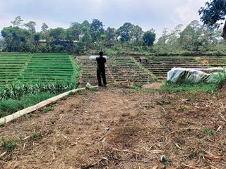 (Kategori: ) berada di . Dikirim oleh majlistadi63510 (ID iklan 1332787121, Gambar 1). Deskripsi: .