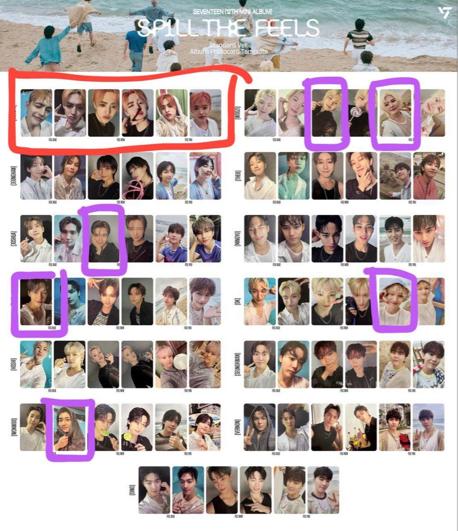SEVENTEEN Hoshi Japan Venue Exclusive Spill The Feels