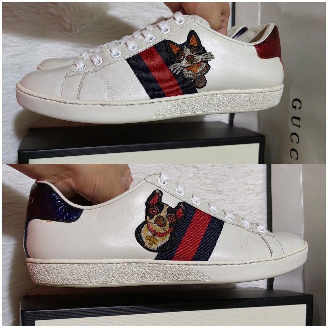 Gucci dog sneaker online