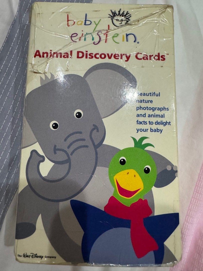 Baby Einstein Animal Discovery Cards, Hobbies &amp; Toys, Toys &amp; Games on Carousell