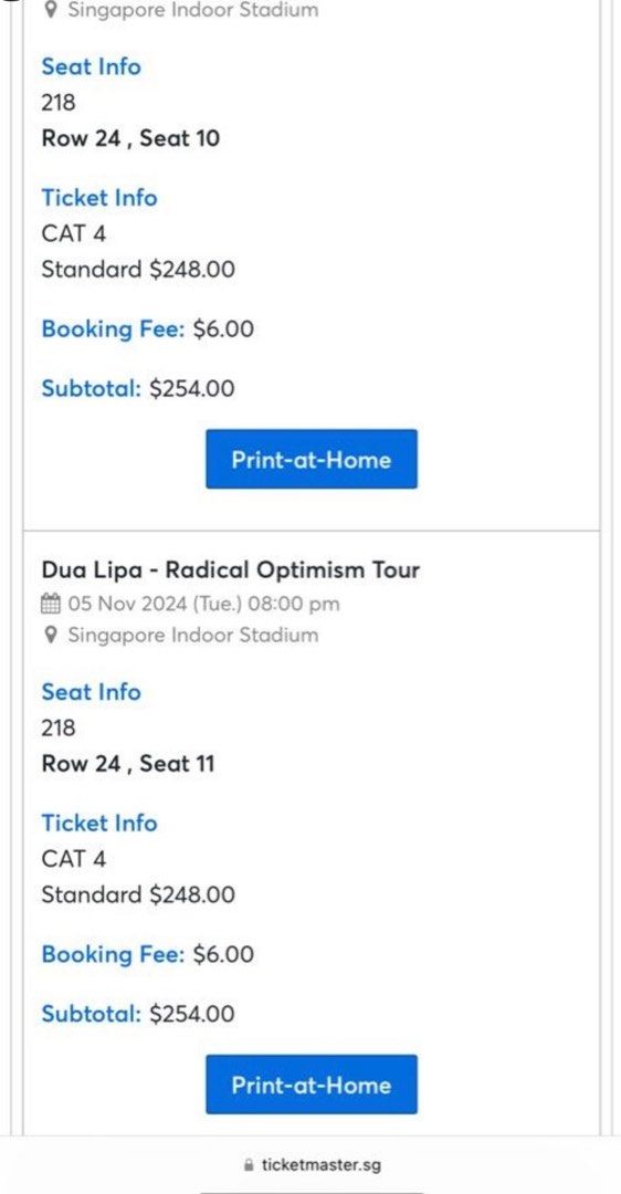 Radical Opt Dua Lipa Radical Opt Singapore (side by side), Tickets & Vouchers ...