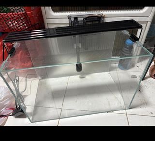 (Category: ) located in . Submitted by bossmen (Listing ID 1332845836, Image 1). Description: .