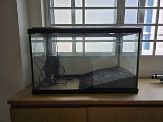 (Category: ) located in . Submitted by scoroco (Listing ID 1332817094, Image 1). Description: .