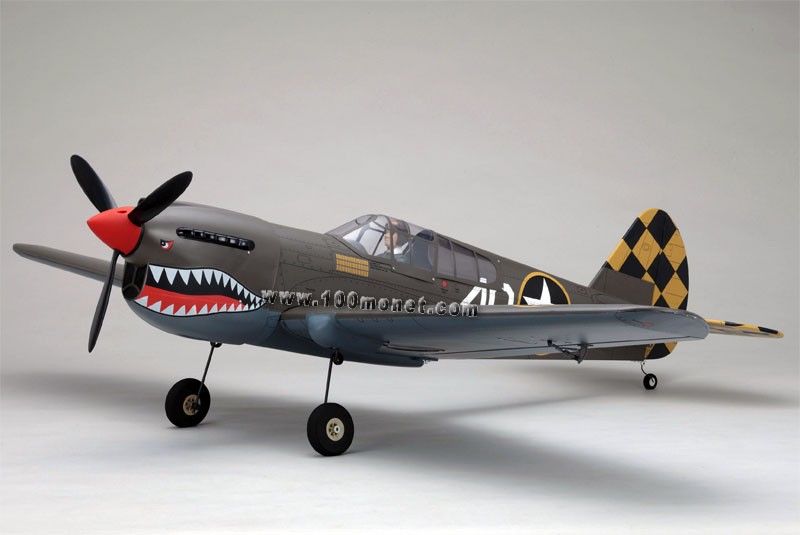 Warhawk Curtiss - カーチスP-40 ARF 京商50クラス WARHAWK40 Kyosho