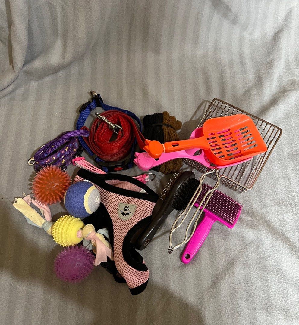 ASSORTED PET ACCESSORIES BUNDLE (Category: Homes & Other Pet Accessories) located in Makati City. Submitted by youfoundus (Listing ID 1332870471, Image 3). Description: PRELOVED ITEMS—please, manage your expectations: 🔍 Not for the sensitive / BAWAL SA MASELAN 🔍 Sold as bundle; PRICE NEGOTIABLE 🔍 All items are CLEANED / MACHINE WASHED (FOR CLOTHES) 🔍 CONDITION: Old but gently used 🔍 ISSUES/FLAWS: None—as far as checked 🔍 RFS: Decluttering; 