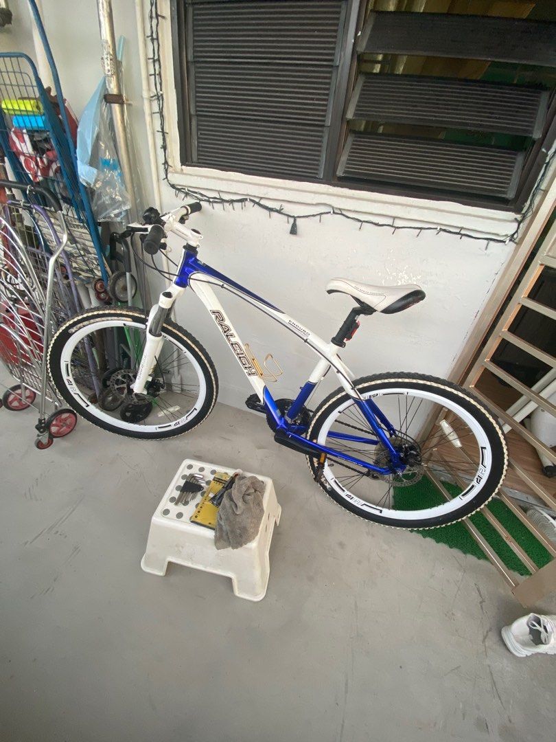 Raleigh enduro pro discount