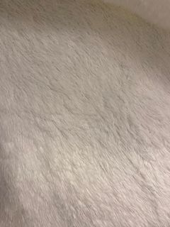 (Category: ) located in . Submitted by mreuxx (Listing ID 1332925633, Image 1). Description: .