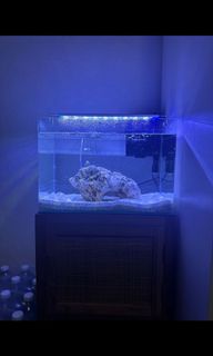 (Category: ) located in . Submitted by aarojay (Listing ID 1333087131, Image 1). Description: .