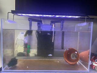 (Category: ) located in . Submitted by andy8809 (Listing ID 1332974178, Image 1). Description: .