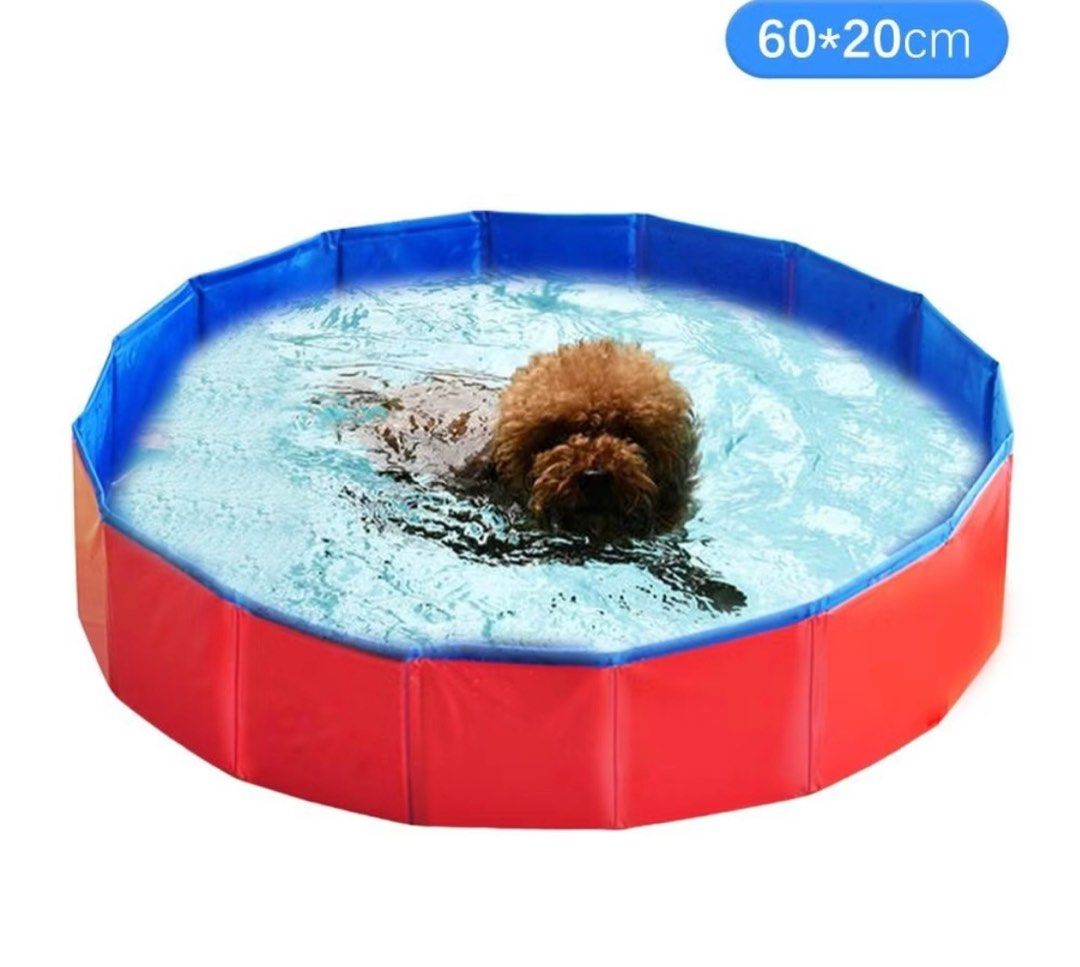 Foldable pool (Category: Homes & Other Pet Accessories) located in Singapore. Submitted by perfecttthings (Listing ID 1332995349, Image 1). Description: +- 60cm x 20cm Used for a week as a ball pit. My pets are not interested at all No bag Slight nego able Self collect at my house Delivery available with topup .
