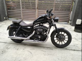 883 sportster for sale near me online