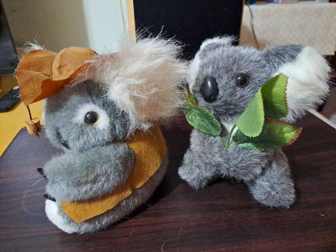 Koala Bear Soft Toys, Hobbies & Toys, Toys & Games on Carousell