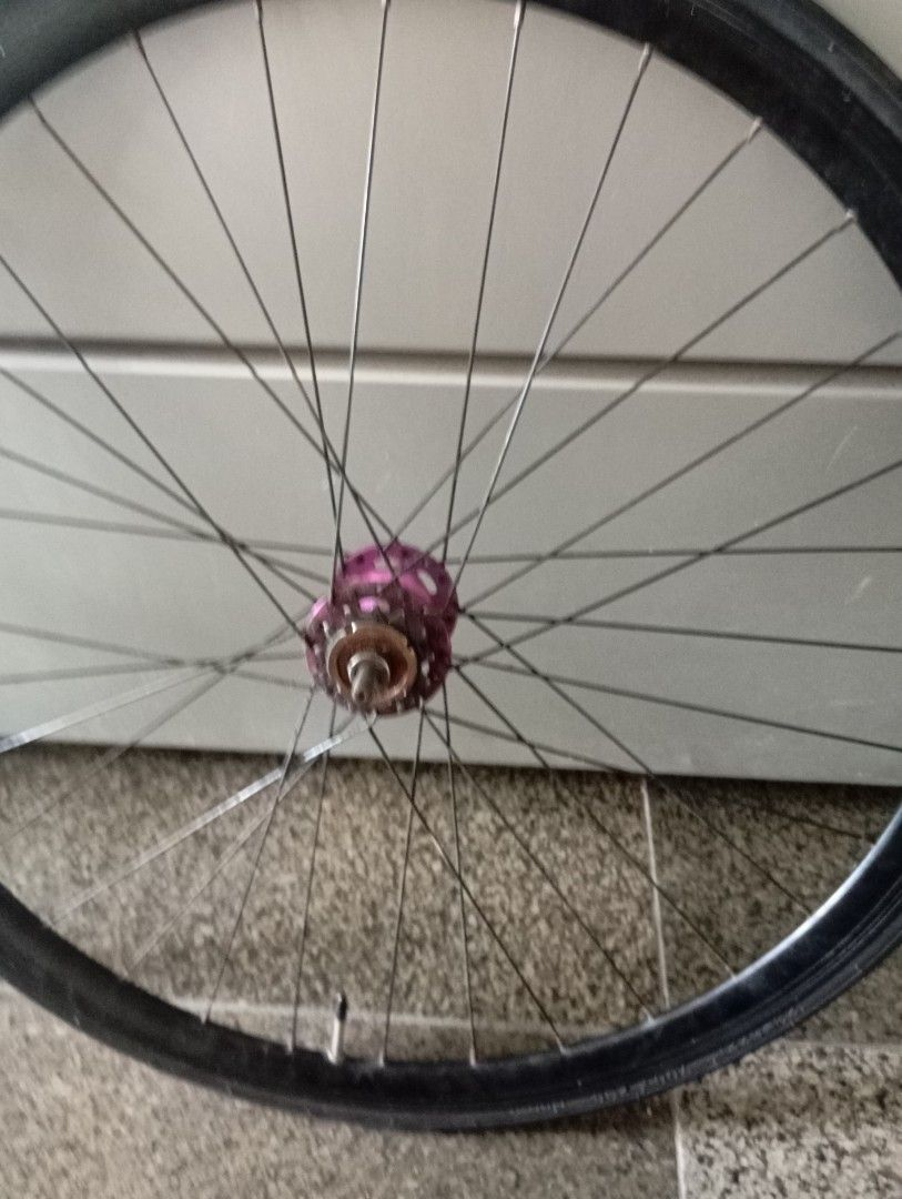 Fixie rear wheel best sale