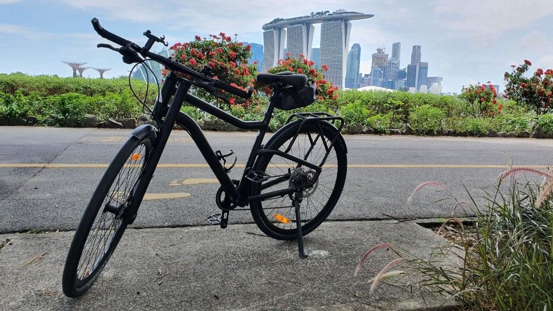 Cannondale contro lefty shop
