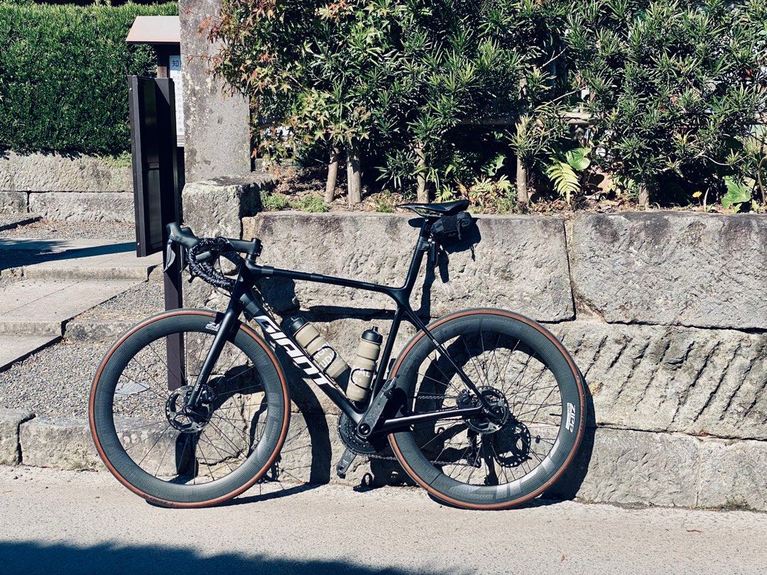 Giant TCR Team CCC no groupset and wheelset Sports Equipment Bicycles Parts Bicycles on Carousell