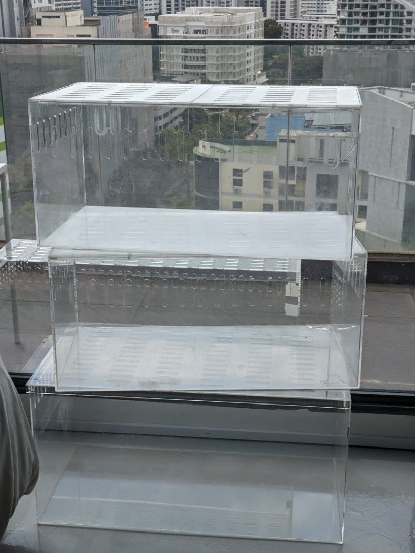 Glass hamster condo clearance