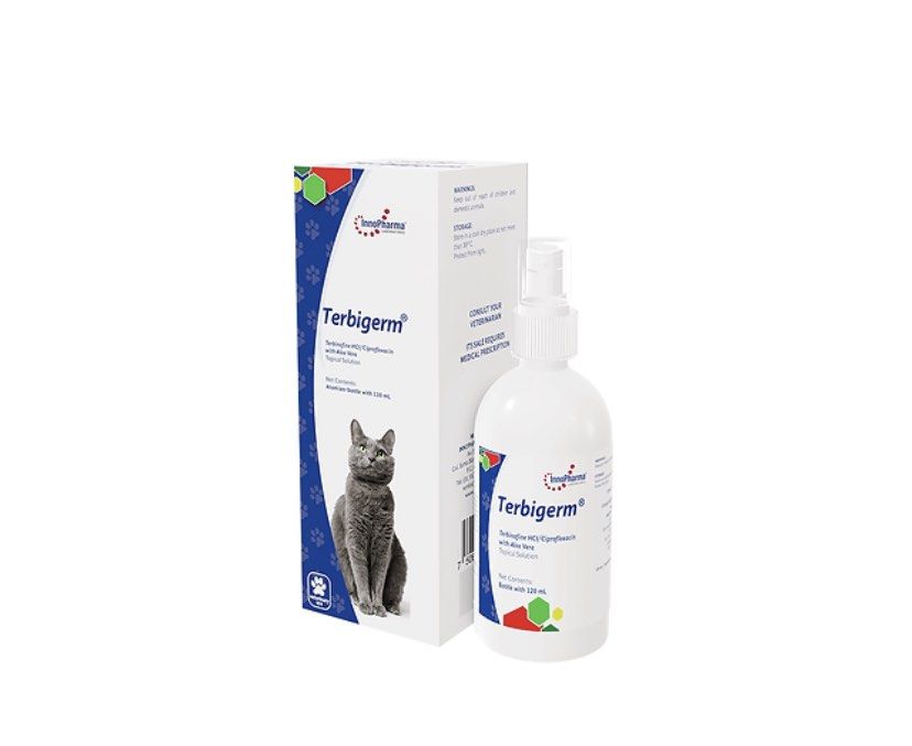 Cat ringworm treatment over the counter top
