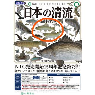 （分類：）位於 。 由 sky88 提交（商品編號 1333425164，圖片 1）。簡介： 。
