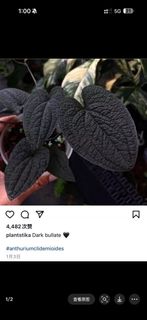 （分類：）位於 。 由 jun1991219 提交（商品編號 1333371094，圖片 1）。簡介： 。