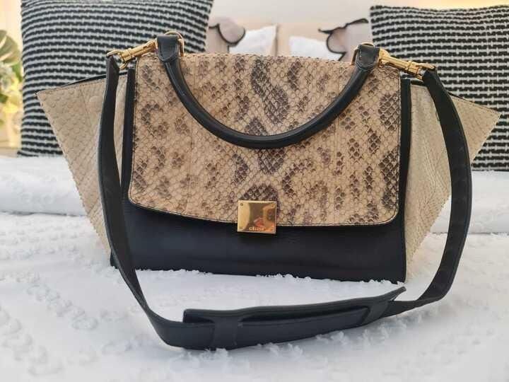 Celine Trapeze (Python Skin) (Category: Bags & Wallets) located in Singapore. Submitted by Our.Hero.Outlet (Listing ID 1333481398, Image 3). Description: No scratches, bought in 2016. .