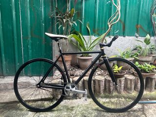 Affordable CELT For Sale Carousell Philippines