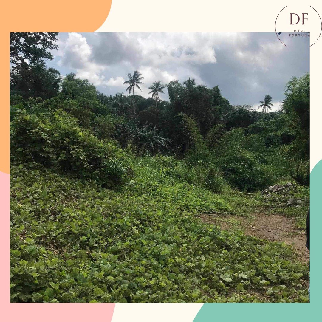 Farm Lot in Cavite (Category: Lot) located in Cavite. Submitted by gastuseraph (Listing ID 1333428405, Image 2). Description: 𝒟ℰ𝒯𝒜ℐℒ𝒮: • FARM LOT • Location: ALFONSO, CAVITE • 3 minute drive to town proper & 12 minute drive to twin lakes tagaytay • payment can either be cash or installment ✨ WILL SEND DETAILED PRESENTATION TO INTERESTED BUYERS ✨ .