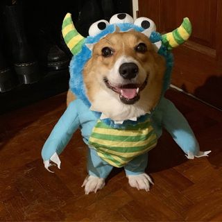 (Category: ) located in . Submitted by strangelystrangled (Listing ID 1333503045, Image 1). Description: .
