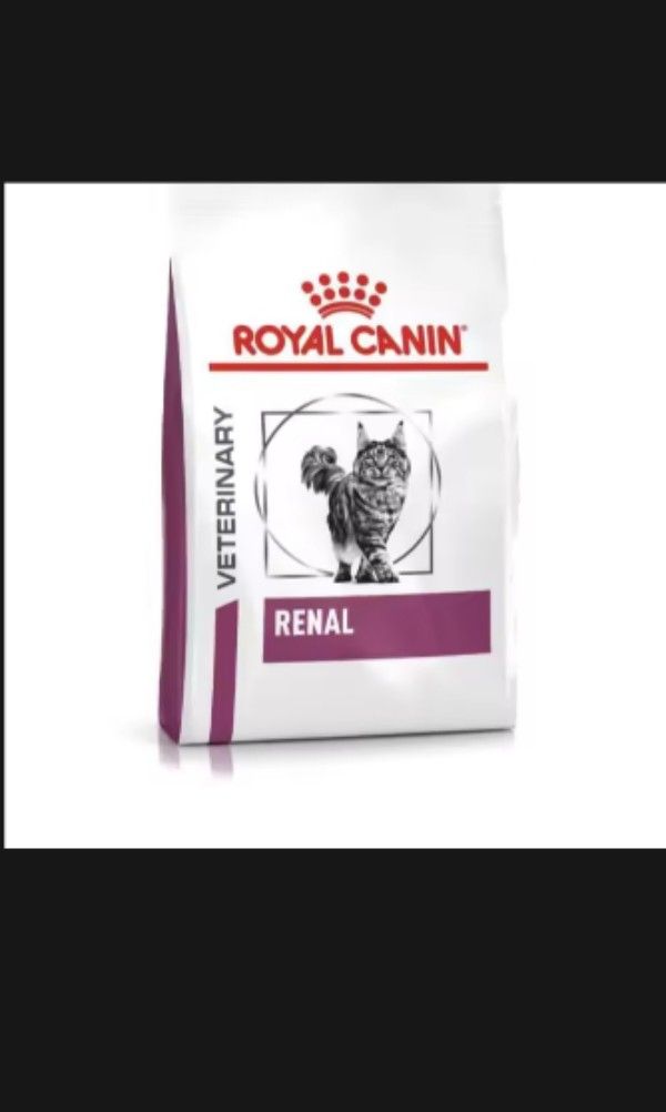 Royal Canin Renal 4KG Pet Supplies Pet Food on Carousell