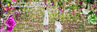 （分類：）位於 。 由 jan_0219 提交（商品編號 1333477881，圖片 1）。簡介： 。