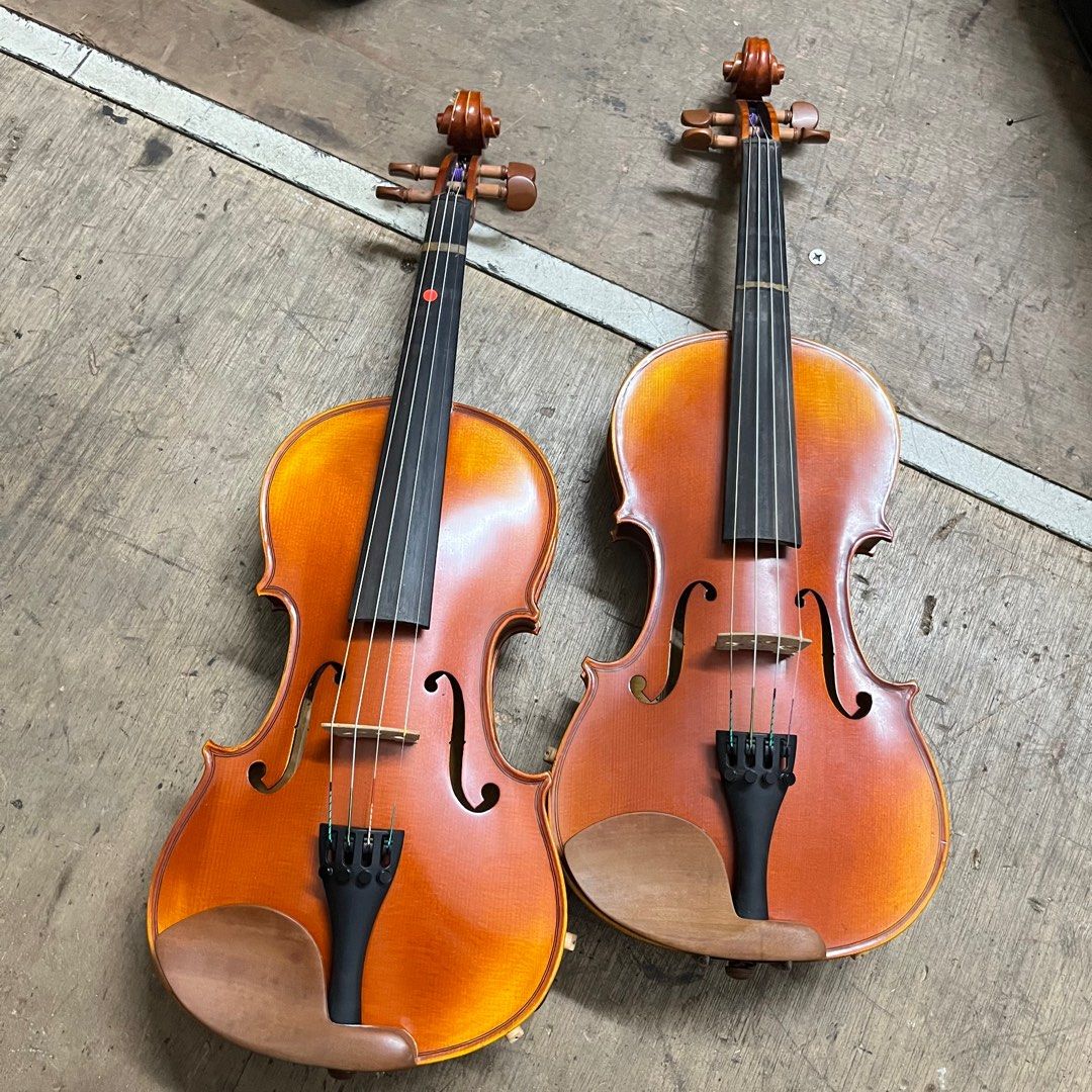 GCV Violins Debutte 4 4 Violin