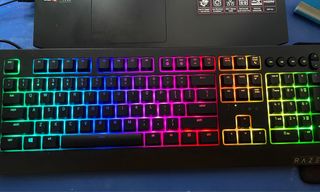 (Category: ) located in . Submitted by eannn08 (Listing ID 1328820380, Image 1). Description: .
