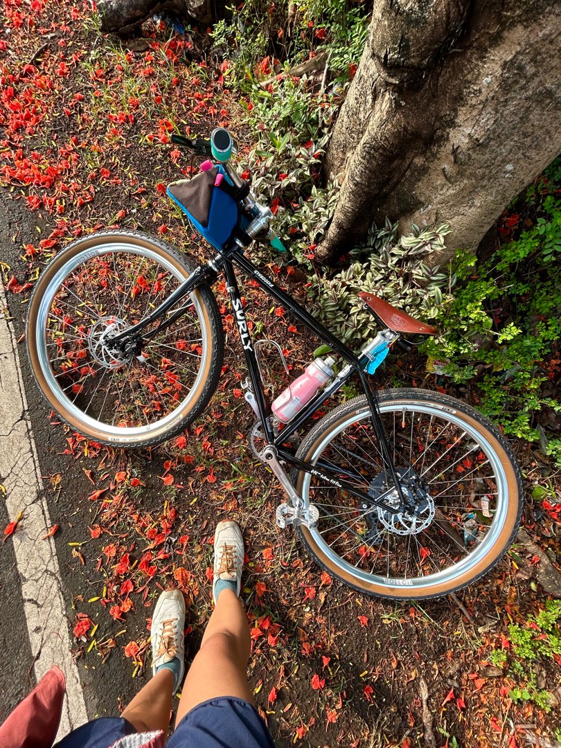 SURLY STRAGGLER 38cm rare size, Sports Equipment, Bicycles & Parts