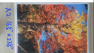 （分類：）位於 。 由 romcheung 提交（商品編號 1333562658，圖片 1）。簡介： 。