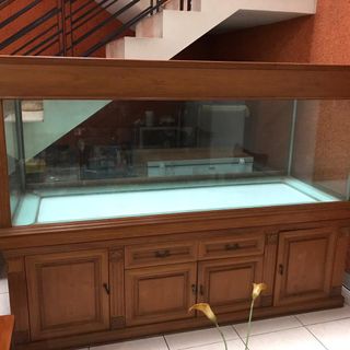 (Kategori: ) berada di . Dikirim oleh bellemde (ID iklan 1333513652, Gambar 1). Deskripsi: .