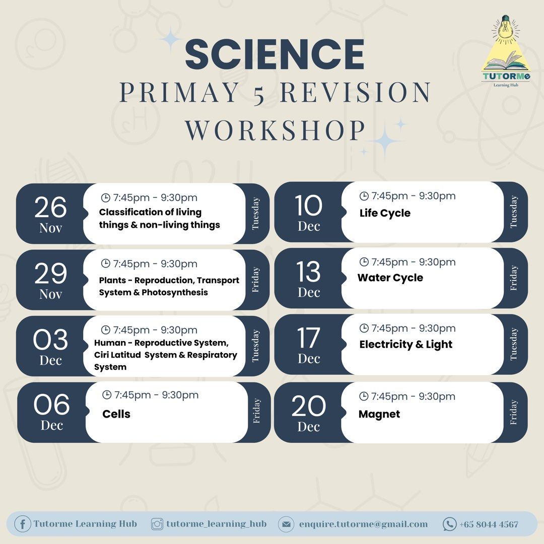 psle__workshop__tuition__psle__173029791