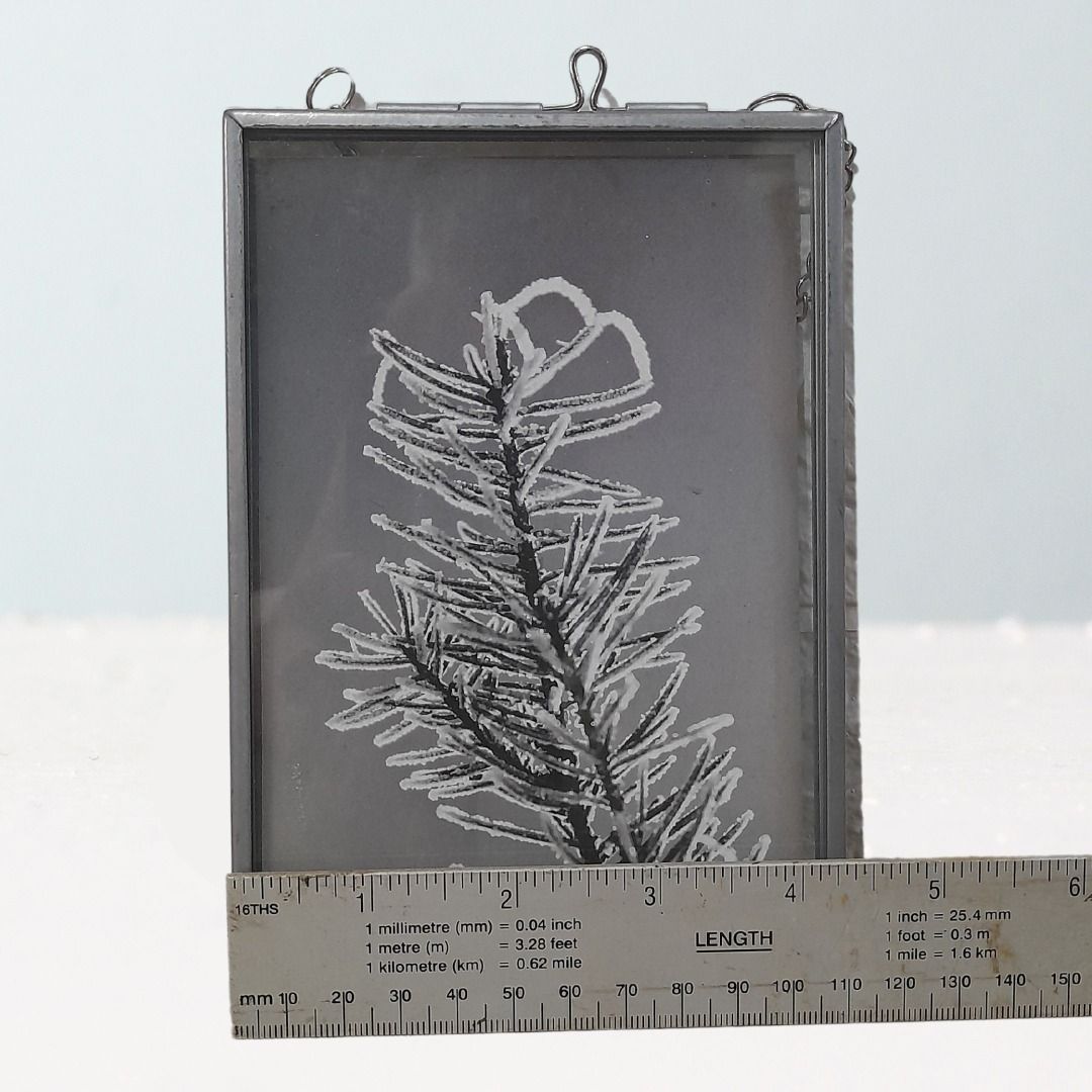 Silver Glass Frame. (Category: Frames & Pictures) located in Cagayan de Oro. Submitted by YetzShopETC (Listing ID 1333530304, Image 3). Description: Silver Glass Frame. Php120.00 Sourced from UK box surplus, please manage your expectation. As is, where is. Color may vary due to photographic lighting. Size: Please see photo Pick-up at DVSoria, CDO or maxim delivery. J&T or LBC for outside CDO Thank you 🙂.