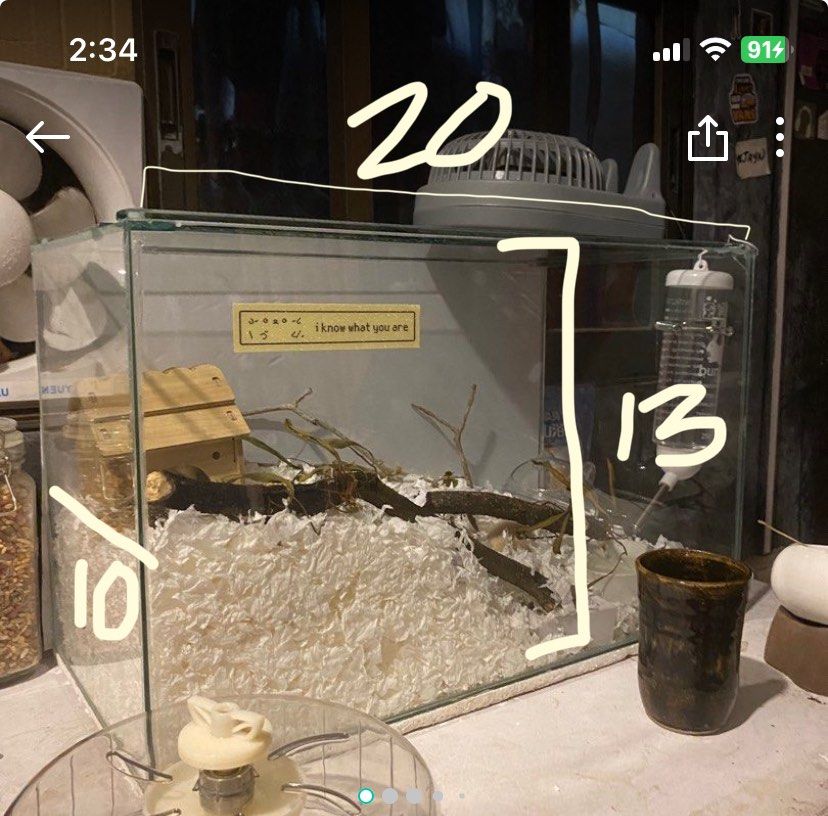 10 gallon - Aquarium 🫧 (Category: Homes & Other Pet Accessories) located in Caloocan City. Submitted by a.cube (Listing ID 1323627968, Image 3). Description: 10 gallons •aquarium for hamsters 🐹 and reptiles! (cannot be used for fish/water) only flaw it has is its crack at the bottom~ see last picture- but can be used without problem for dry storage white wallpaper ag the back can be easily removed price: 200php + sf measurements: height: 13 inc