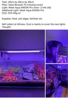 (Category: ) located in . Submitted by jojojojochon (Listing ID 1333728249, Image 1). Description: .