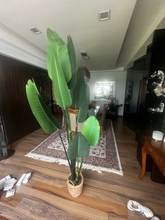(Category: ) located in . Submitted by zeenat15 (Listing ID 1333732594, Image 1). Description: .