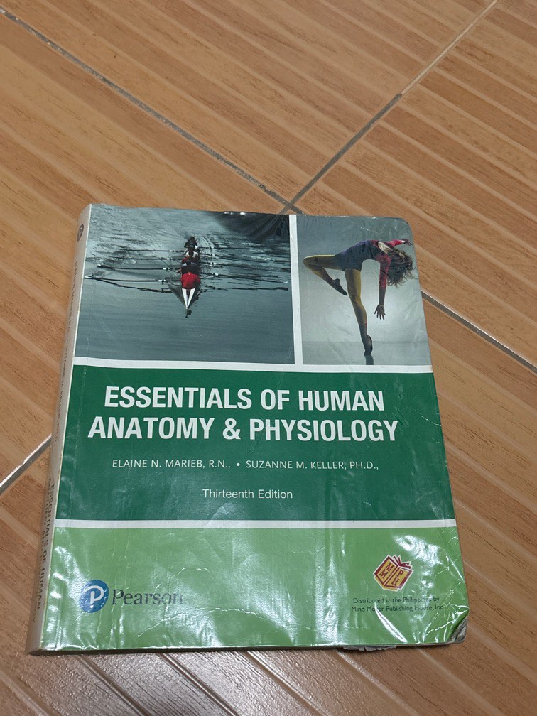 Essentials of human anatomy and physiology 13th ed, Hobbies & Toys ...