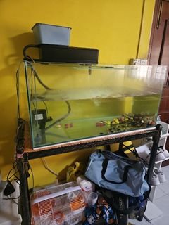 (Category: ) located in . Submitted by zhenweicai (Listing ID 1333752681, Image 1). Description: .