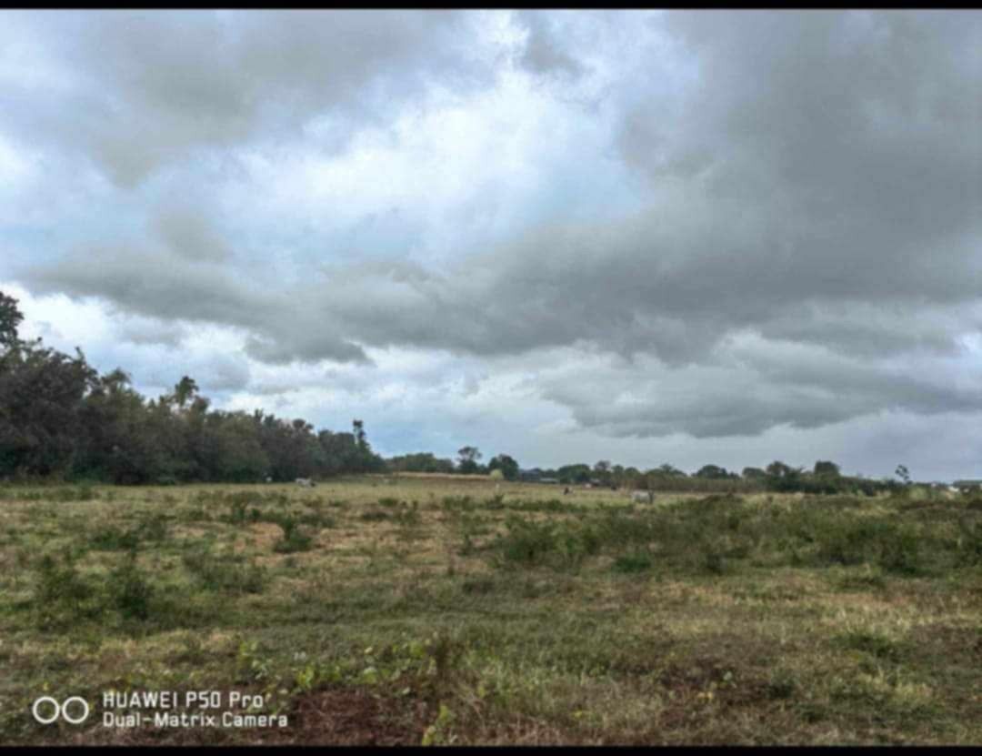 LOT for Lease (Category: Lot) located in Muntinlupa City. Submitted by 1praiserealtyservices (Listing ID 1333709483, Image 2). Description: VACANT LOT for Rent Location: STA ROSA LAGUNA. BINAN City AND STO.TOMAS LAGUNA Size available: 50,000sqm un develop Sta Rosa fully fence - 50 62,000 sqm undevelop Sta Rosa fully fence -50 15000 sqm develop Binan fully fence -( 100) 43000 SQM develop - Sto Tomas Batangas - fully fence with 2600 warehouse (85) 