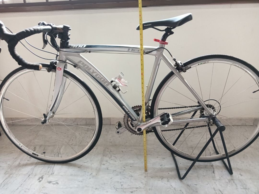Polygon Helios 300 2 x 9 gears road bike