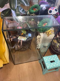 (Category: ) located in . Submitted by crimson_betta (Listing ID 1333828658, Image 1). Description: .