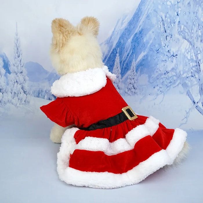 Anywags Pet Clothes XL Christmas Princess Dress with Belt (Category: Pet Clothing) located in Melbourne. Submitted by anyco_store (Listing ID 1328975428, Image 3). Description: Whether you're dressing up for a special occasion or simply want to elevate your pet's everyday style. Pet Clothes are the ultimate choice for fashion-forward pets and their doting owners. Treat your furry companion to the luxury they deserve with Pet Clothes today! Featur